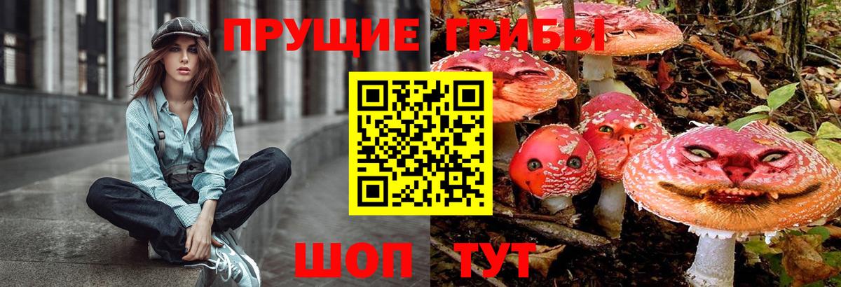 Псилоцибиновые грибы мицелий  Вход с VPN  Котлас 